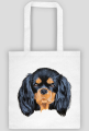 cavalier spaniel
