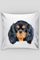 cavalier spaniel