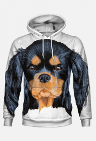 cavalier spaniel