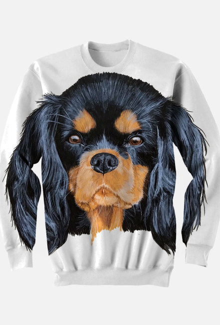 cavalier spaniel