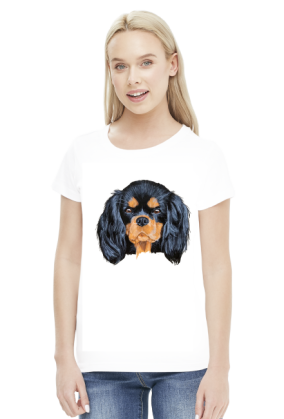 cavalier spaniel