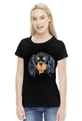 cavalier spaniel