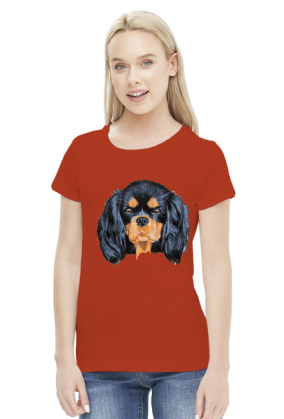 cavalier spaniel