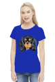cavalier spaniel