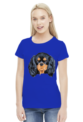 cavalier spaniel