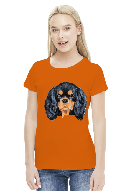 cavalier spaniel