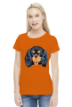cavalier spaniel