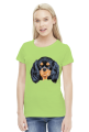 cavalier spaniel
