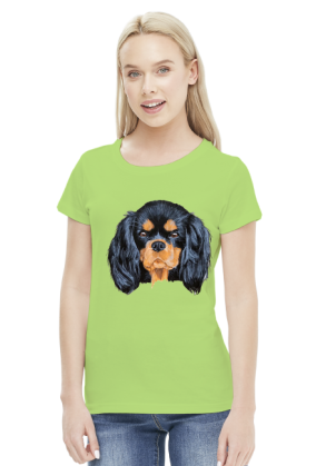 cavalier spaniel