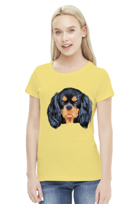 cavalier spaniel
