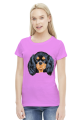 cavalier spaniel