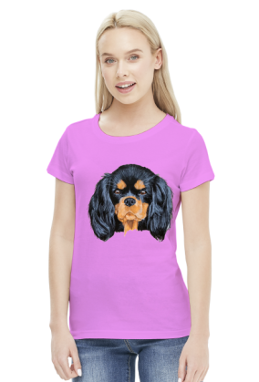 cavalier spaniel