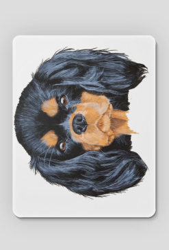 cavalier spaniel