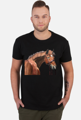 koń sportowy