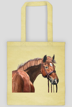 koń sportowy