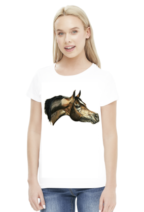 arab koń