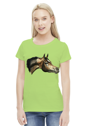 arab koń