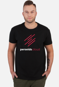 T-shirt męski big Perseids