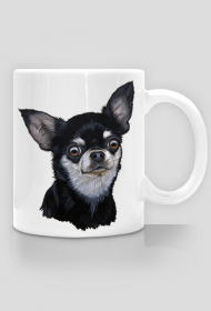 czarny chihuahua