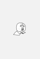 Y U NO