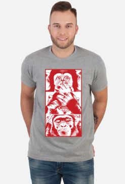 3 małpy