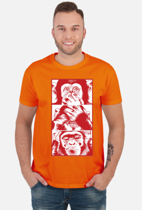 3 małpy