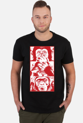 3 małpy