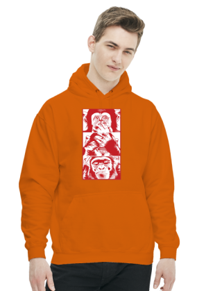 3 małpy