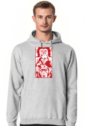 3 małpy