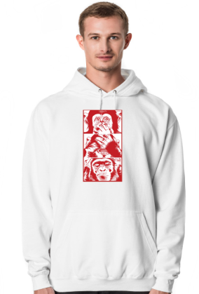3 małpy