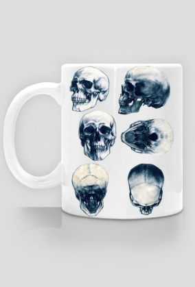 Anatomiczne czaszki