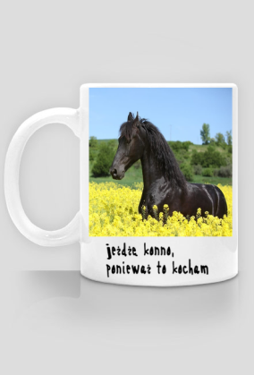 kubek jeżdżę konno.