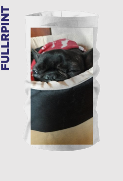 komin z z buldogiem