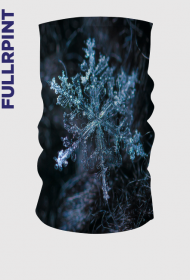 zima