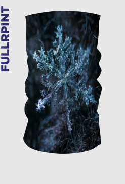 zima