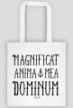 MAGNIFICAT