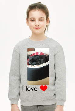 bluza z buldogiem