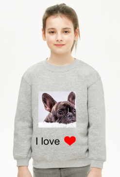 bluza z buldogiem