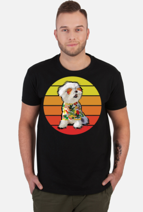 Maltańczyk retro