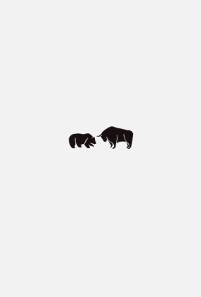 koszulka bull and bear