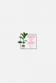 TSHIRT PLANTS