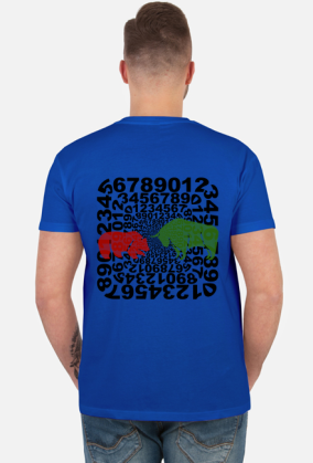 koszulka numbers