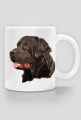 labrador