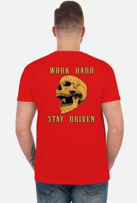 Work Hard Stay Driven