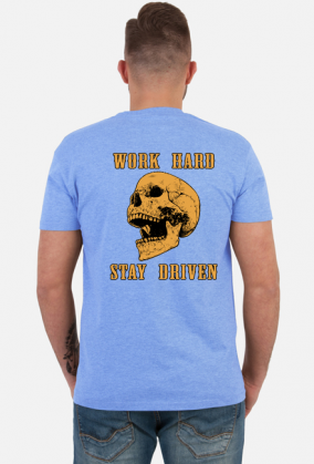 Work Hard Stay Driven