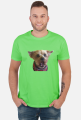Doggy