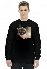 Miauczuś