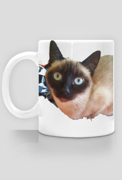 Miauczuś