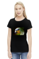 Parrot