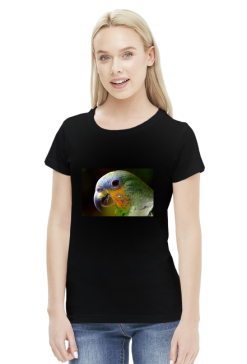 Parrot